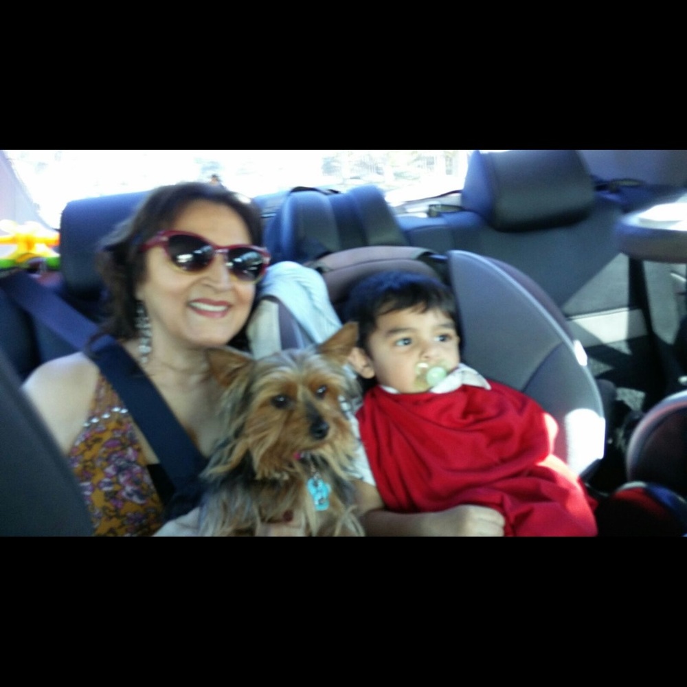 Meet your Posher, Julie